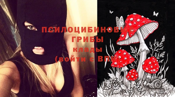 ешки Арсеньев