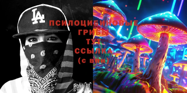 ешки Арсеньев