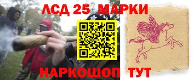 мдпв Гусев