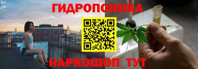 мдпв Гусев