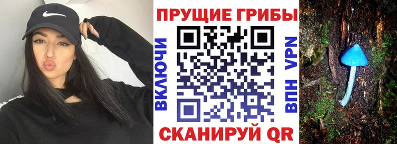 Псилоцибиновые грибы Psilocybine cubensis  сколько стоит  Верхняя Салда 