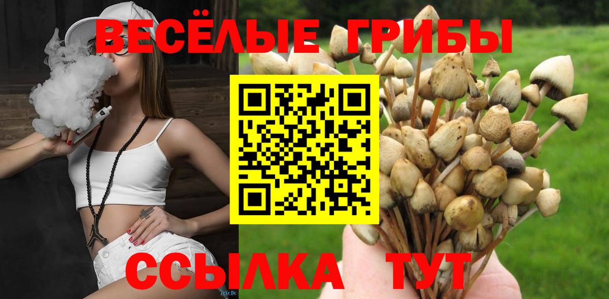 Верхняя Салда  Псилоцибиновые грибы мицелий  Вход с VPN 